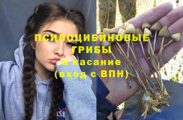 прущий лед Алзамай