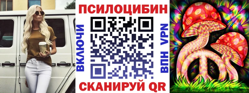 наркотики  Дмитров  Галлюциногенные грибы Cubensis 