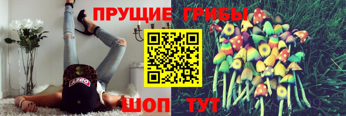 Галлюциногенные грибы Psilocybine cubensis  цены наркотик  Дмитров  Вход с VPN 
