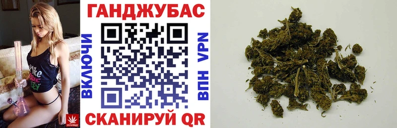 блэк спрут   Дмитров  Бошки Шишки планчик 